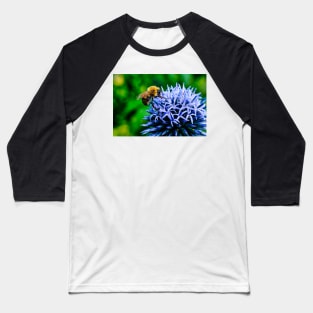 Bee On Small Globe Thistle 2 Baseball T-Shirt